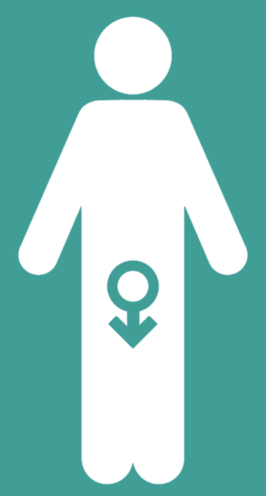Male weakness and increase in a member