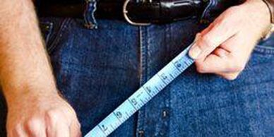 Dimensions of the male genital organ