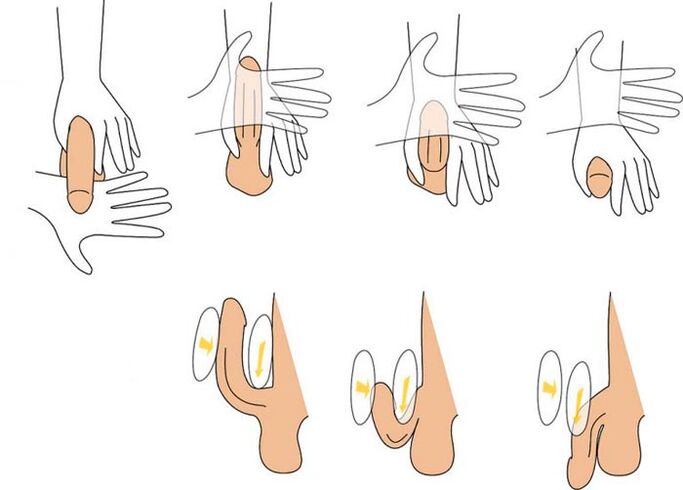bending the penis to expand